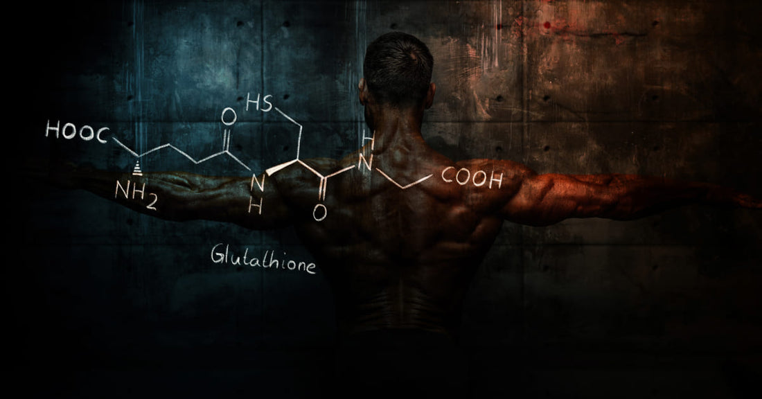 Selank 10mg by Nordic Labs: Benefits, Dosage, and Research